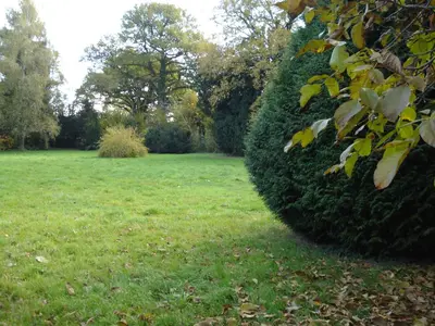Jardin de l'établissement Chateau de Grand Bonnefont