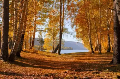 Paysage naturel près de la tente de luxe