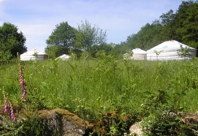 Paysage naturel près de la tente de luxe