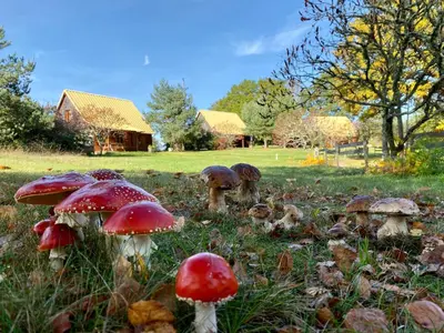 Jardin de l'établissement Chalets de l Empereur