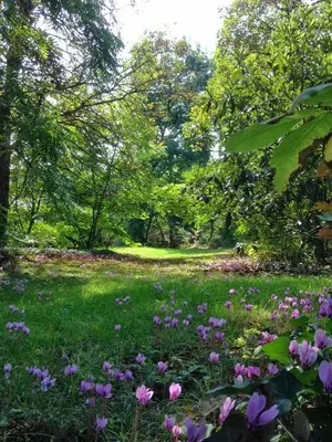 Jardin de l'établissement Domaine de Migoule