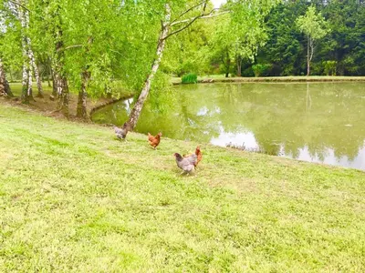 Vue sur la rivière ou le fleuve situé(e) à proximité de le B&B/chambre d'hôtes