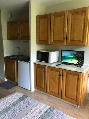 Cuisine ou kitchenette dans l'établissement RÉSID BEC DE L AIGLE Studio 22 - LE LIORAN