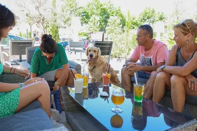 Boissons dans l'établissement Hôtel La Réserve de Brive