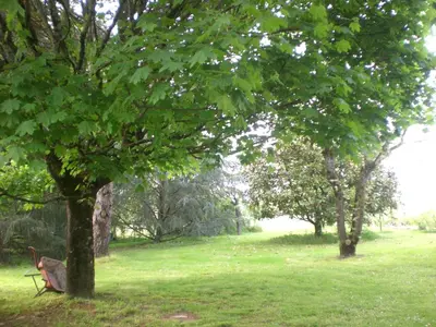 Jardin de l'établissement Gîte des Cantines