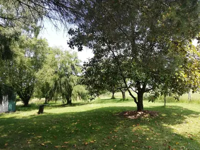 Jardin de l'établissement Gîte des Cantines