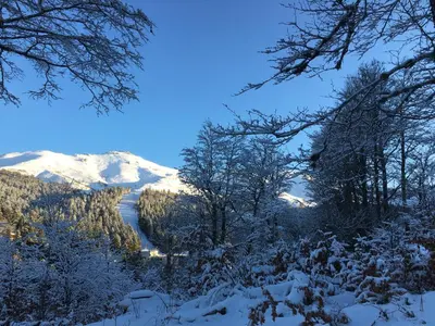 Paysage naturel près de l'appartement