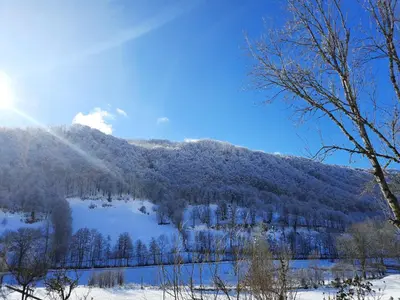 Paysage naturel près de l'appartement