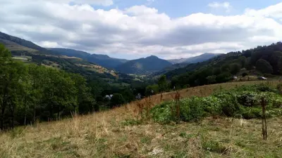 Paysage naturel près de l'appartement