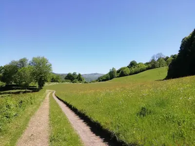 Paysage naturel près de la maison de vacances