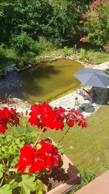 Jardin de l'établissement Bergerie du Château - Lacapelle Marival