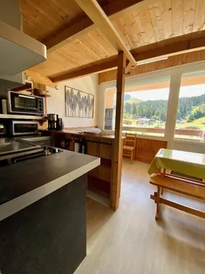 Cuisine ou kitchenette dans l'établissement SUPER LIORAN - APPARTEMENT ENTIÈREMENT ÉQUIPÉ