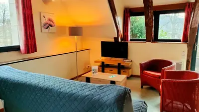 Télévision ou salle de divertissement dans l'établissement Gite 3étoiles Coconning dans une grange cantalienne - Cantal Emotions Valette Auvergne