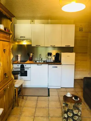 Cuisine ou kitchenette dans l'établissement Charmant studio Mont Dore