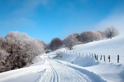 L'établissement Gîte de Pailherols en hiver