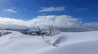 L'établissement Gîte de Pailherols en hiver