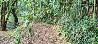 Jardin de l'établissement Domaine Le Mayne