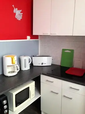 Cuisine ou kitchenette dans l'établissement Appartement cosy à La Bourboule, 40 m², casier à skis