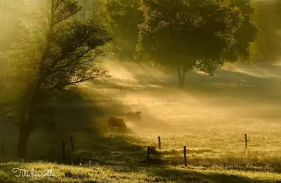 Paysage naturel près de la maison de vacances