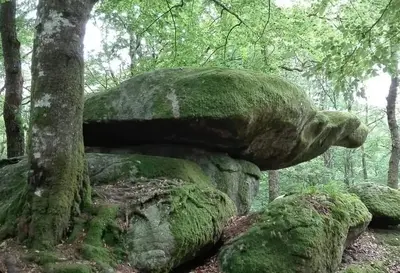 Paysage naturel près de la maison de vacances