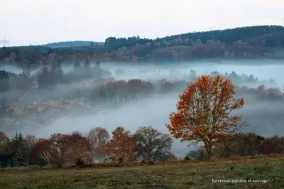 Paysage naturel près de la maison de vacances