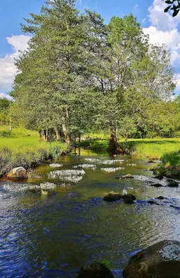 Paysage naturel près de la maison de vacances