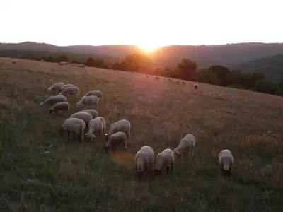 Paysage naturel près de la maison de vacances