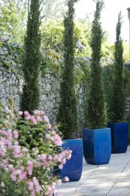 Jardin de l'établissement La Roseraie Hôtel Restaurant
