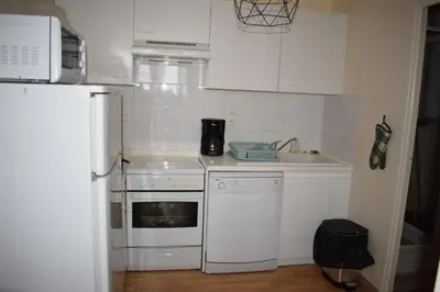 Cuisine ou kitchenette dans l'établissement Résidence Le mont Dore 2 étoiles