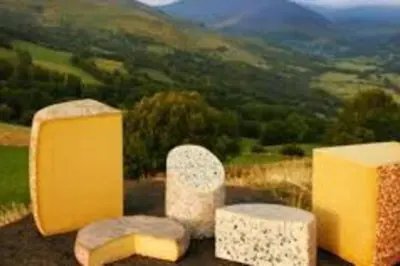 Vue générale sur la montagne ou vue sur la montagne depuis l'appartement