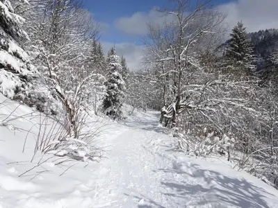 L'établissement BIENVENUE AU LIORAN en hiver