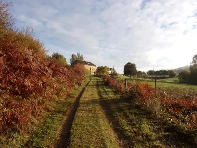 Jardin de l'établissement Chambres d'Hôtes La Chouette