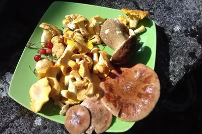Nourriture dans la maison de vacances ou à proximité