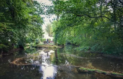 Paysage naturel près de le camping