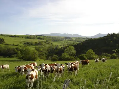 Paysage naturel près de la maison de vacances