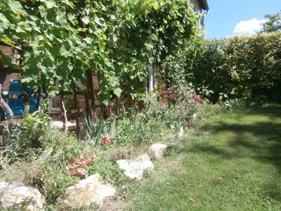Jardin de l'établissement The Studio