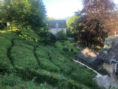 Jardin de l'établissement haras de la Cère et ses chevaux