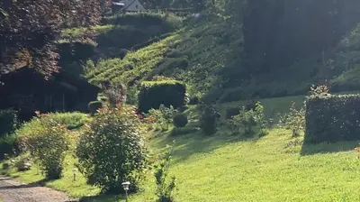 Jardin de l'établissement haras de la Cère et ses chevaux