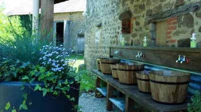 Jardin de l'établissement Luna caravane Vintage