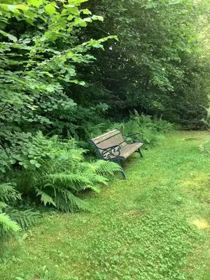 Jardin de l'établissement Woodland Cottage