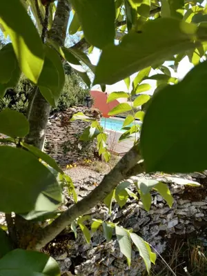 Jardin de l'établissement LE PARDÈS BnB