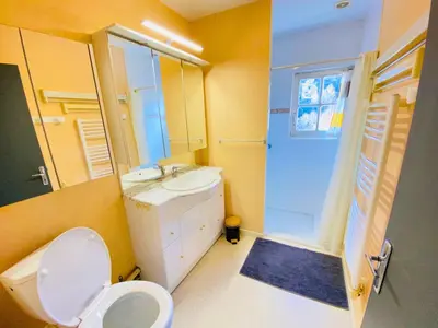 Salle de bains dans l'établissement MAGNIFIQUE Location au bout de la route