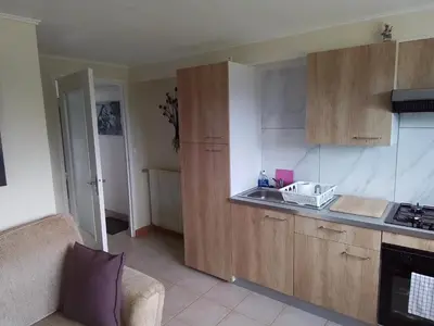 Cuisine ou kitchenette dans l'établissement Le Terrier