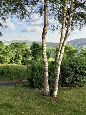 Paysage naturel près de la maison de vacances