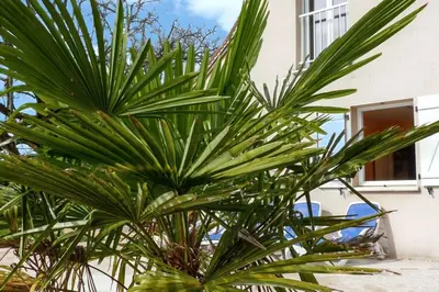 Jardin de l'établissement Villa ravissante à Loubressac avec piscine privée