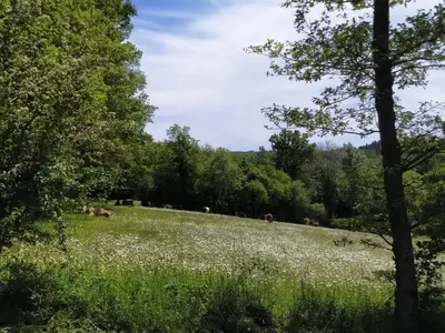 Paysage naturel près de le camping