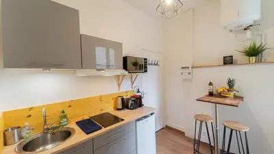 Cuisine ou kitchenette dans l'établissement Cosy Apparts Brive
