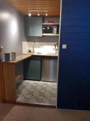 Cuisine ou kitchenette dans l'établissement Le cocon du sancy