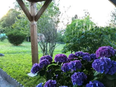 Jardin de l'établissement Le petit nid