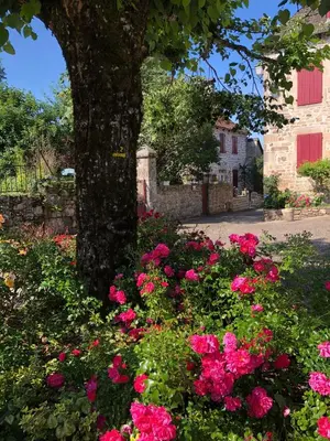 Jardin de l'établissement Maison Village Hautefage